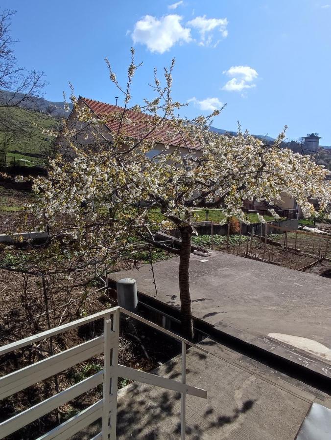 Apartman Bor リヴノ エクステリア 写真