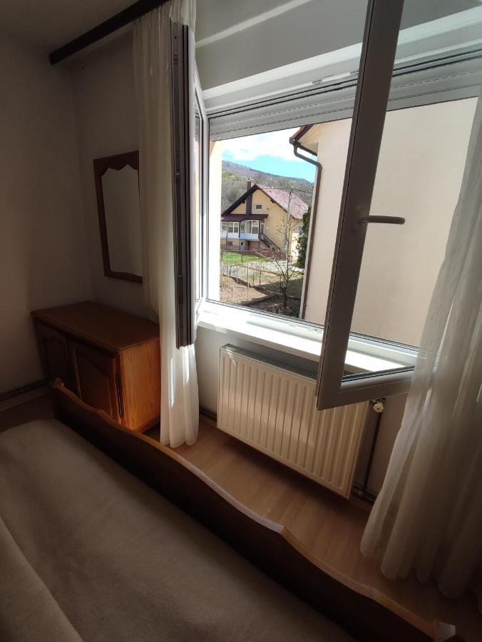 Apartman Bor リヴノ エクステリア 写真